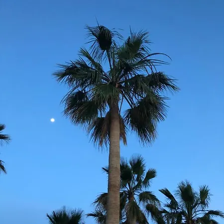 Casa Siempre Sol 度假居 圣米格尔德阿沃纳